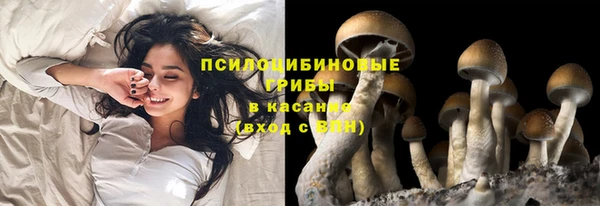 мяу мяу кристалл Аркадак