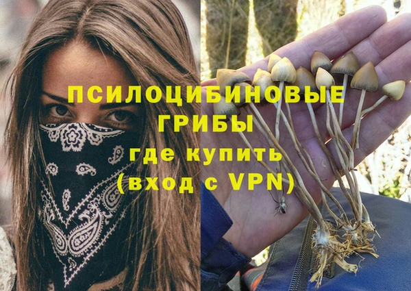 мескалин Арсеньев