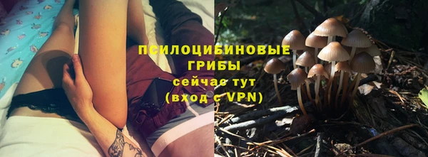 мескалин Арсеньев